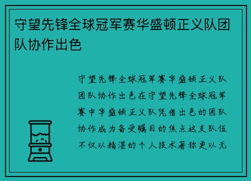守望先锋全球冠军赛华盛顿正义队团队协作出色